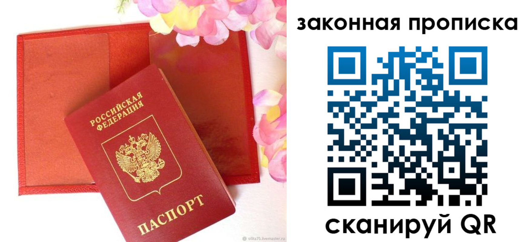 регистрация для школы в Кировске